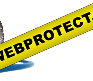 Premier Spouce Full Service